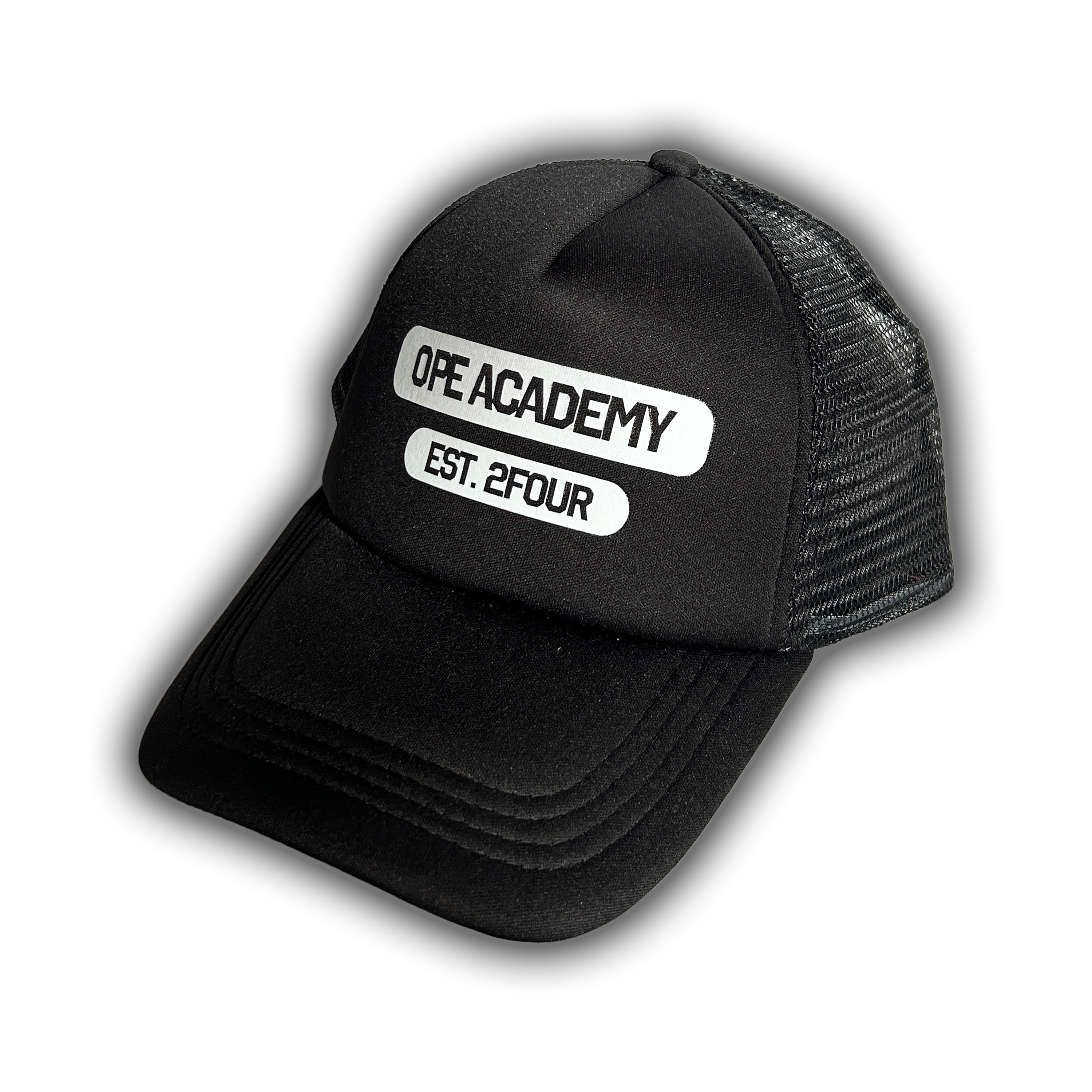scholar trucker